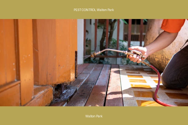 PEST CONTROL Walton Park